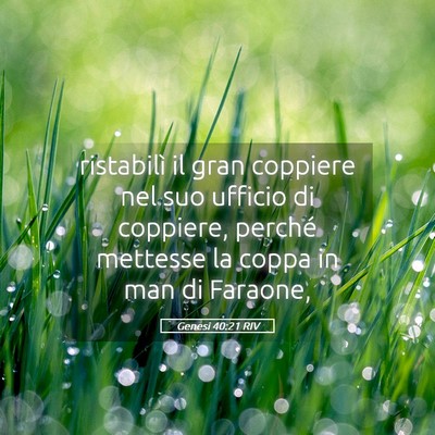 Picture 05 - Genesi 40:21 RIV - ristabilì il gran coppiere nel suo ufficio di - Bible Verse Picture