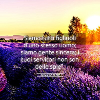 Picture 05 - Genesi 42:11 RIV - Siamo tutti figliuoli d’uno stesso uomo; siamo - Bible Verse Picture