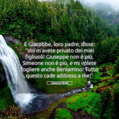 Picture 05 - Genesi 42:36 RIV - E Giacobbe, loro padre, disse: “Voi m’avete - Bible Verse Picture