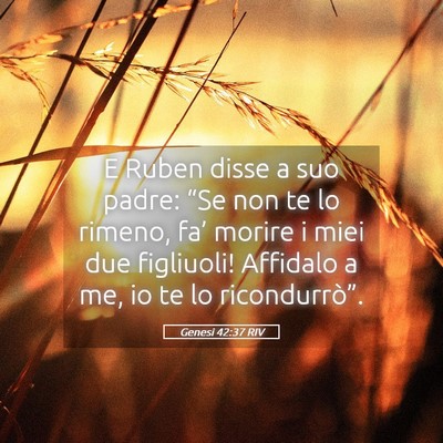 Picture 05 - Genesi 42:37 RIV - E Ruben disse a suo padre: “Se non te lo - Bible Verse Picture