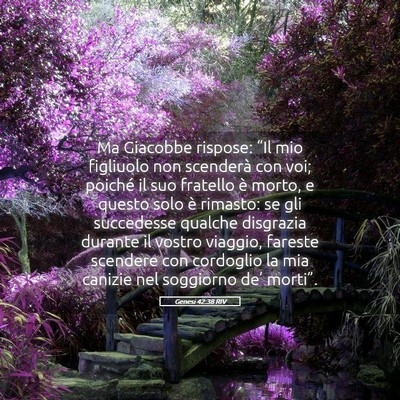 Picture 05 - Genesi 42:38 RIV - Ma Giacobbe rispose: “Il mio figliuolo non - Bible Verse Picture