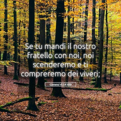 Picture 05 - Genesi 43:4 RIV - Se tu mandi il nostro fratello con noi, noi - Bible Verse Picture