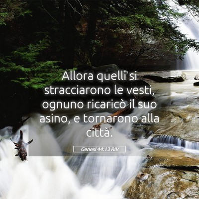 Picture 05 - Genesi 44:13 RIV - Allora quelli si stracciarono le vesti, ognuno - Bible Verse Picture