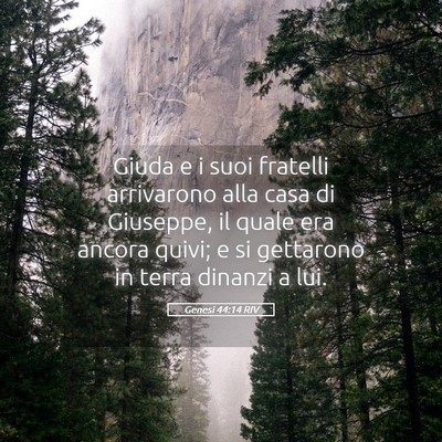 Picture 05 - Genesi 44:14 RIV - Giuda e i suoi fratelli arrivarono alla casa di - Bible Verse Picture