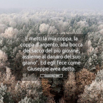 Picture 05 - Genesi 44:2 RIV - E metti la mia coppa, la coppa d’argento, alla - Bible Verse Picture