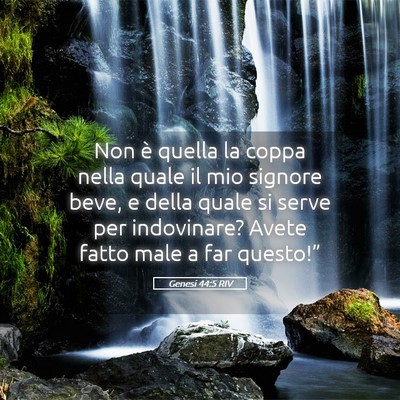 Picture 05 - Genesi 44:5 RIV - Non è quella la coppa nella quale il mio signore - Bible Verse Picture