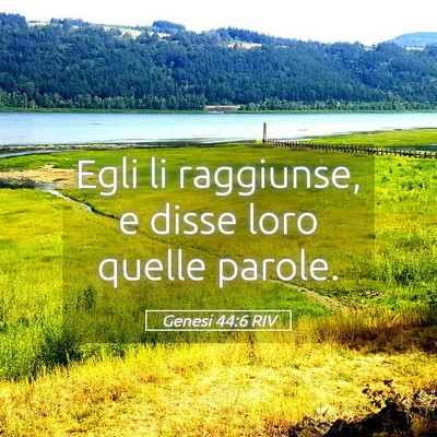 Picture 05 - Genesi 44:6 RIV - Egli li raggiunse, e disse loro quelle - Bible Verse Picture