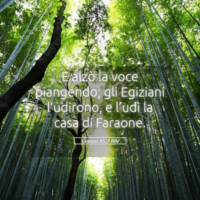 Picture 05 - Genesi 45:2 RIV - E alzò la voce piangendo; gli Egiziani - Bible Verse Picture