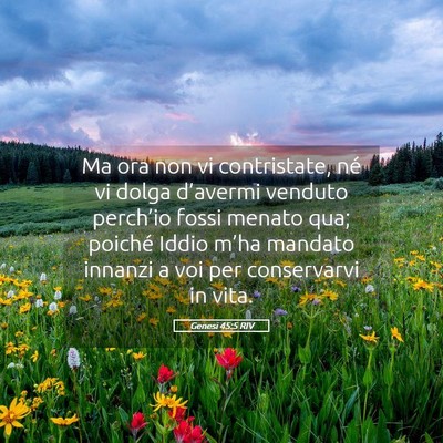 Picture 05 - Genesi 45:5 RIV - Ma ora non vi contristate, né vi dolga - Bible Verse Picture
