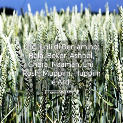 Picture 05 - Genesi 46:21 RIV - I figliuoli di Beniamino: Bela, Beker, Ashbel, - Bible Verse Picture