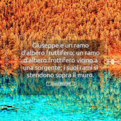 Picture 05 - Genesi 49:22 RIV - Giuseppe e un ramo d’albero fruttifero; un ramo - Bible Verse Picture