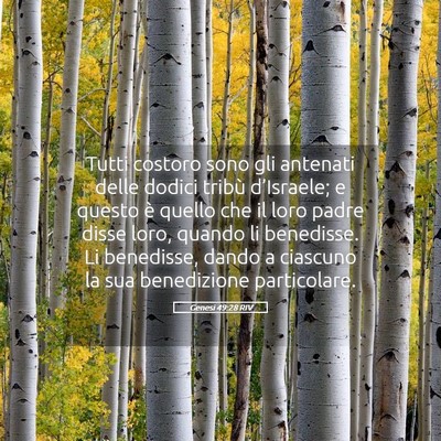 Picture 05 - Genesi 49:28 RIV - Tutti costoro sono gli antenati delle dodici - Bible Verse Picture