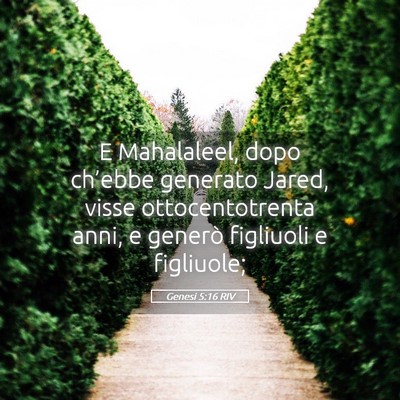 Picture 05 - Genesi 5:16 RIV - E Mahalaleel, dopo ch’ebbe generato Jared, - Bible Verse Picture