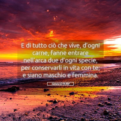 Picture 05 - Genesi 6:19 RIV - E di tutto ciò che vive, d’ogni carne, fanne - Bible Verse Picture