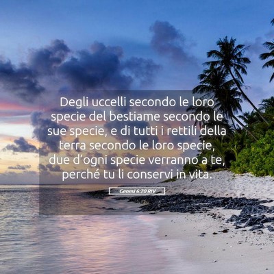 Picture 05 - Genesi 6:20 RIV - Degli uccelli secondo le loro specie del bestiame - Bible Verse Picture