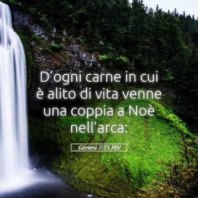 Picture 05 - Genesi 7:15 RIV - D’ogni carne in cui è alito di vita venne una - Bible Verse Picture