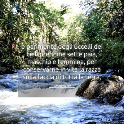 Picture 05 - Genesi 7:3 RIV - e parimente degli uccelli dei cieli prendine - Bible Verse Picture