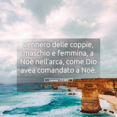 Picture 05 - Genesi 7:9 RIV - vennero delle coppie, maschio e femmina, a Noè - Bible Verse Picture