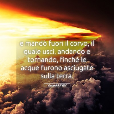 Picture 05 - Genesi 8:7 RIV - e mandò fuori il corvo, il quale uscì, andando - Bible Verse Picture