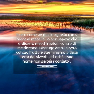 Picture 05 - Geremia 11:19 RIV - Io ero come un docile agnello che si mena al - Bible Verse Picture