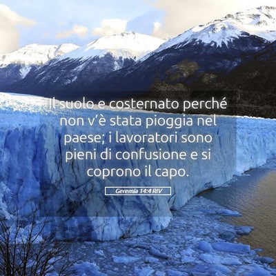Picture 05 - Geremia 14:4 RIV - Il suolo e costernato perché non v’è stata - Bible Verse Picture
