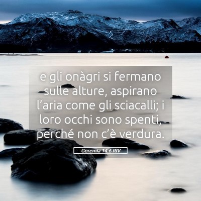 Picture 05 - Geremia 14:6 RIV - e gli onàgri si fermano sulle alture, aspirano - Bible Verse Picture