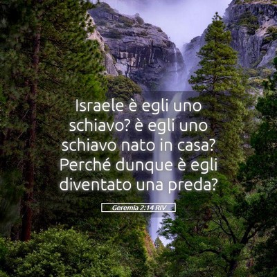 Picture 05 - Geremia 2:14 RIV - Israele è egli uno schiavo? è egli uno schiavo - Bible Verse Picture