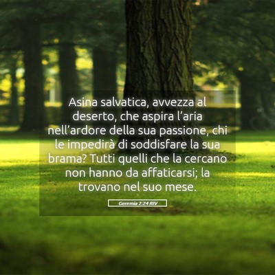 Picture 05 - Geremia 2:24 RIV - Asina salvatica, avvezza al deserto, che aspira - Bible Verse Picture