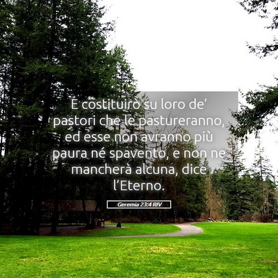 Picture 05 - Geremia 23:4 RIV - E costituirò su loro de’ pastori che le - Bible Verse Picture