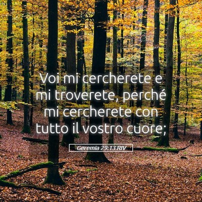 Picture 05 - Geremia 29:13 RIV - Voi mi cercherete e mi troverete, perché mi - Bible Verse Picture