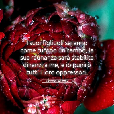 Picture 05 - Geremia 30:20 RIV - I suoi figliuoli saranno come furono un tempo, la - Bible Verse Picture