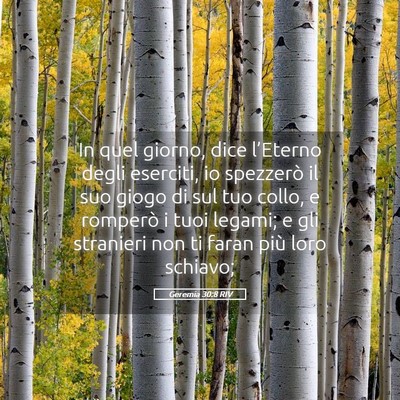 Picture 05 - Geremia 30:8 RIV - In quel giorno, dice l’Eterno degli eserciti, - Bible Verse Picture