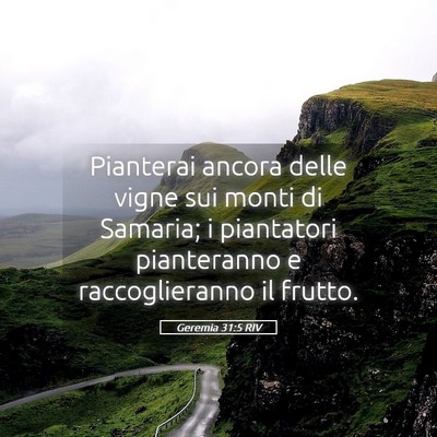 Picture 05 - Geremia 31:5 RIV - Pianterai ancora delle vigne sui monti di - Bible Verse Picture