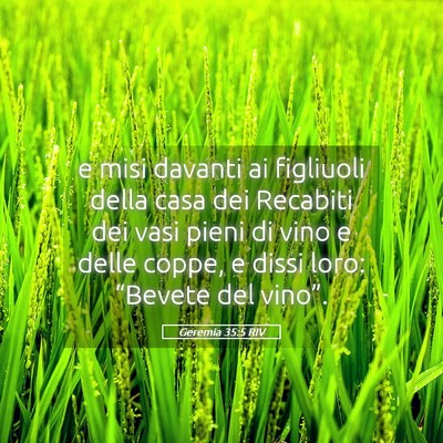Picture 05 - Geremia 35:5 RIV - e misi davanti ai figliuoli della casa dei - Bible Verse Picture
