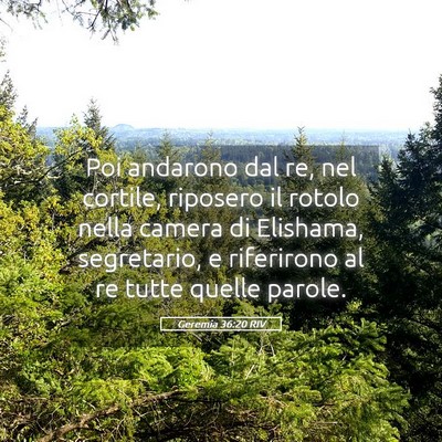 Picture 05 - Geremia 36:20 RIV - Poi andarono dal re, nel cortile, riposero il - Bible Verse Picture