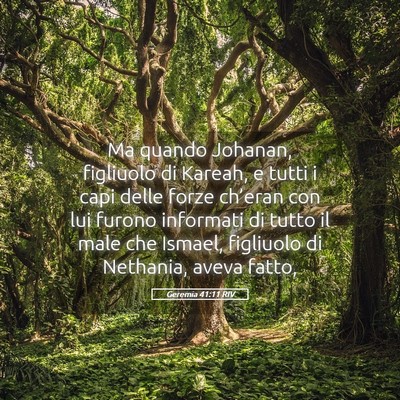 Picture 05 - Geremia 41:11 RIV - Ma quando Johanan, figliuolo di Kareah, e tutti i - Bible Verse Picture
