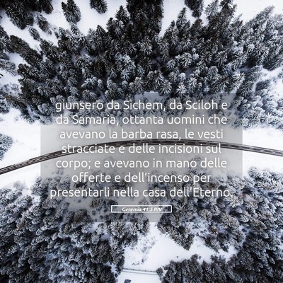 Picture 05 - Geremia 41:5 RIV - giunsero da Sichem, da Sciloh e da Samaria, - Bible Verse Picture