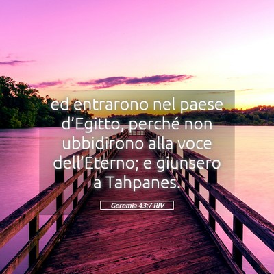 Picture 05 - Geremia 43:7 RIV - ed entrarono nel paese d’Egitto, perché non - Bible Verse Picture