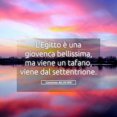 Picture 05 - Geremia 46:20 RIV - L’Egitto è una giovenca bellissima, ma viene - Bible Verse Picture