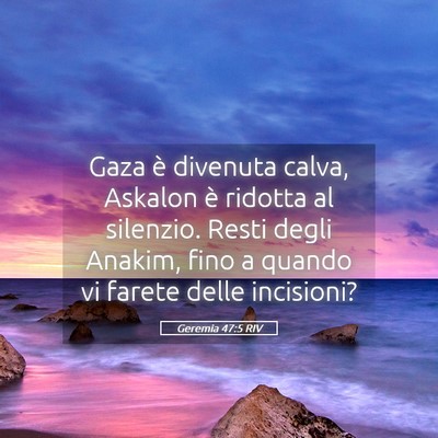 Picture 05 - Geremia 47:5 RIV - Gaza è divenuta calva, Askalon è ridotta al - Bible Verse Picture