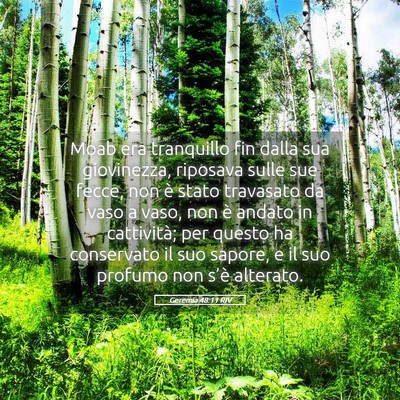 Picture 05 - Geremia 48:11 RIV - Moab era tranquillo fin dalla sua giovinezza, - Bible Verse Picture