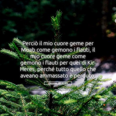 Picture 05 - Geremia 48:36 RIV - Perciò il mio cuore geme per Moab come gemono i - Bible Verse Picture