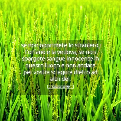 Picture 05 - Geremia 7:6 RIV - se non opprimete lo straniero, l’orfano e la - Bible Verse Picture