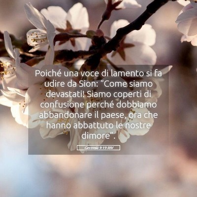 Picture 05 - Geremia 9:19 RIV - Poiché una voce di lamento si fa udire da Sion: - Bible Verse Picture