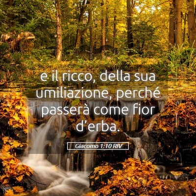 Picture 05 - Giacomo 1:10 RIV - e il ricco, della sua umiliazione, perché - Bible Verse Picture