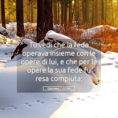 Picture 05 - Giacomo 2:22 RIV - Tu vedi che la fede operava insieme con le opere - Bible Verse Picture