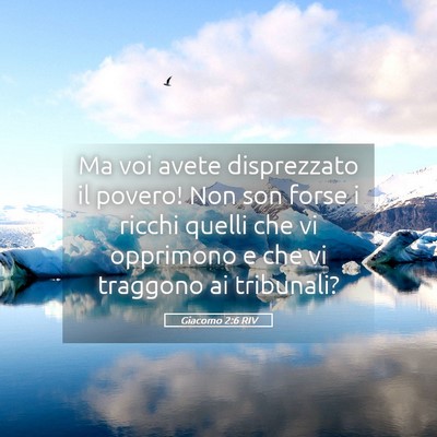 Picture 05 - Giacomo 2:6 RIV - Ma voi avete disprezzato il povero! Non son forse - Bible Verse Picture