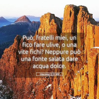 Picture 05 - Giacomo 3:12 RIV - Può, fratelli miei, un fico fare ulive, o una - Bible Verse Picture