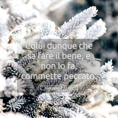 Picture 05 - Giacomo 4:17 RIV - Colui dunque che sa fare il bene, e non lo fa, - Bible Verse Picture