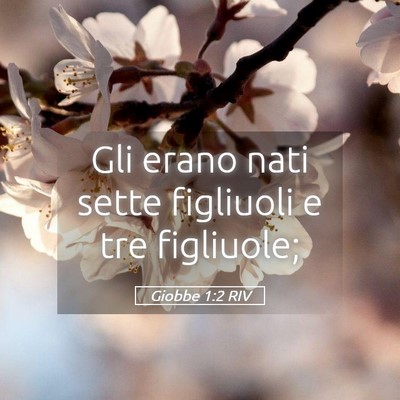 Picture 05 - Giobbe 1:2 RIV - Gli erano nati sette figliuoli e tre - Bible Verse Picture